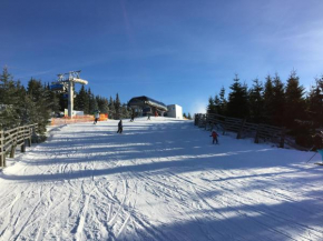 Отель Le Mont Špindlerův Mlýn, Шпиндлерув Млын